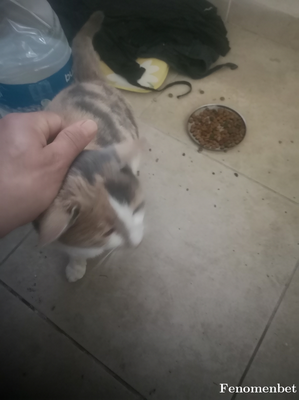 Adem5434 tarafından paylaşıldı