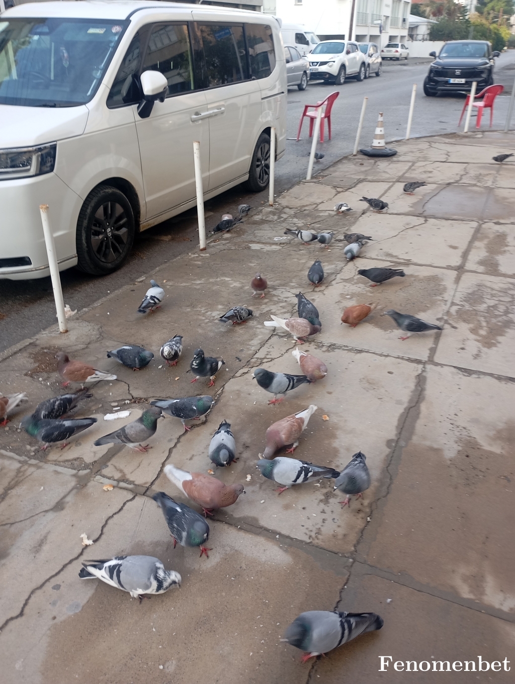 Uguraltan2727 tarafından paylaşıldı