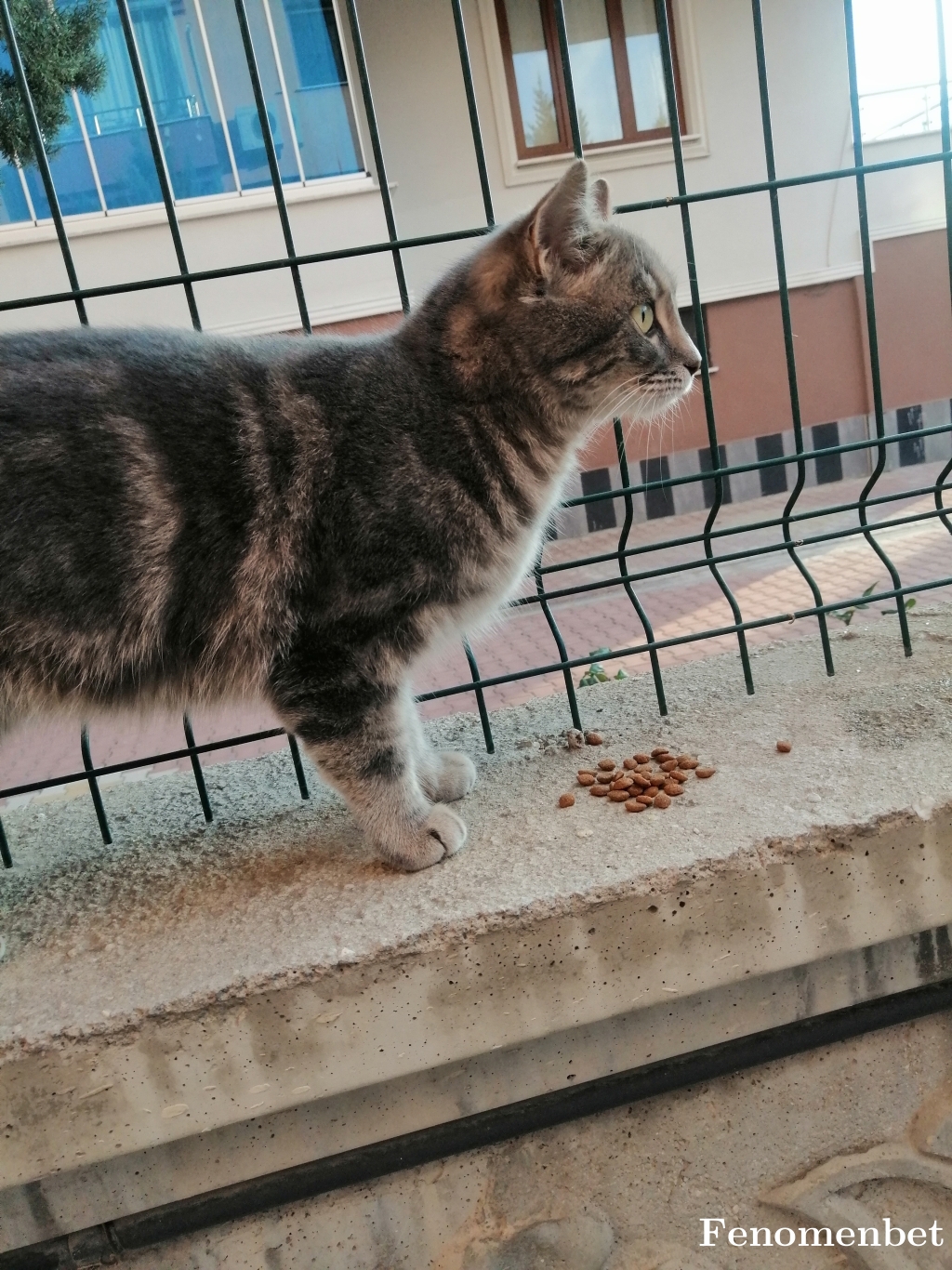 Cigdem777  tarafından paylaşıldı