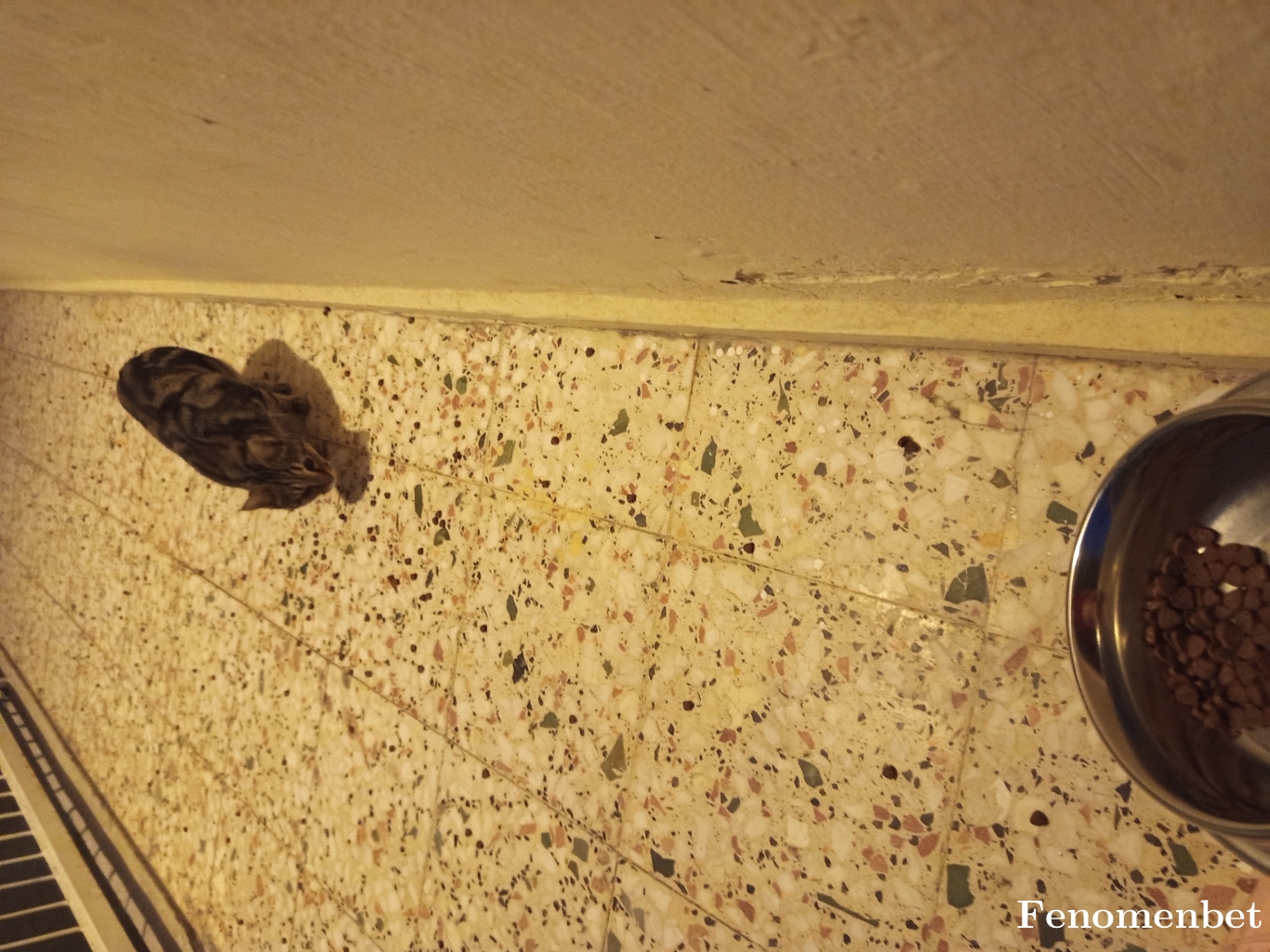 Konser1236 tarafından paylaşıldı