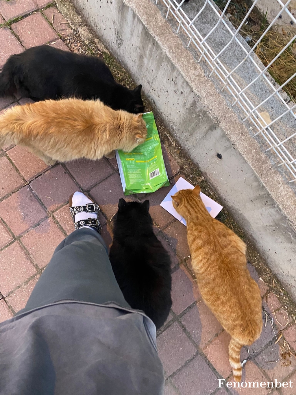 joys07 tarafından paylaşıldı