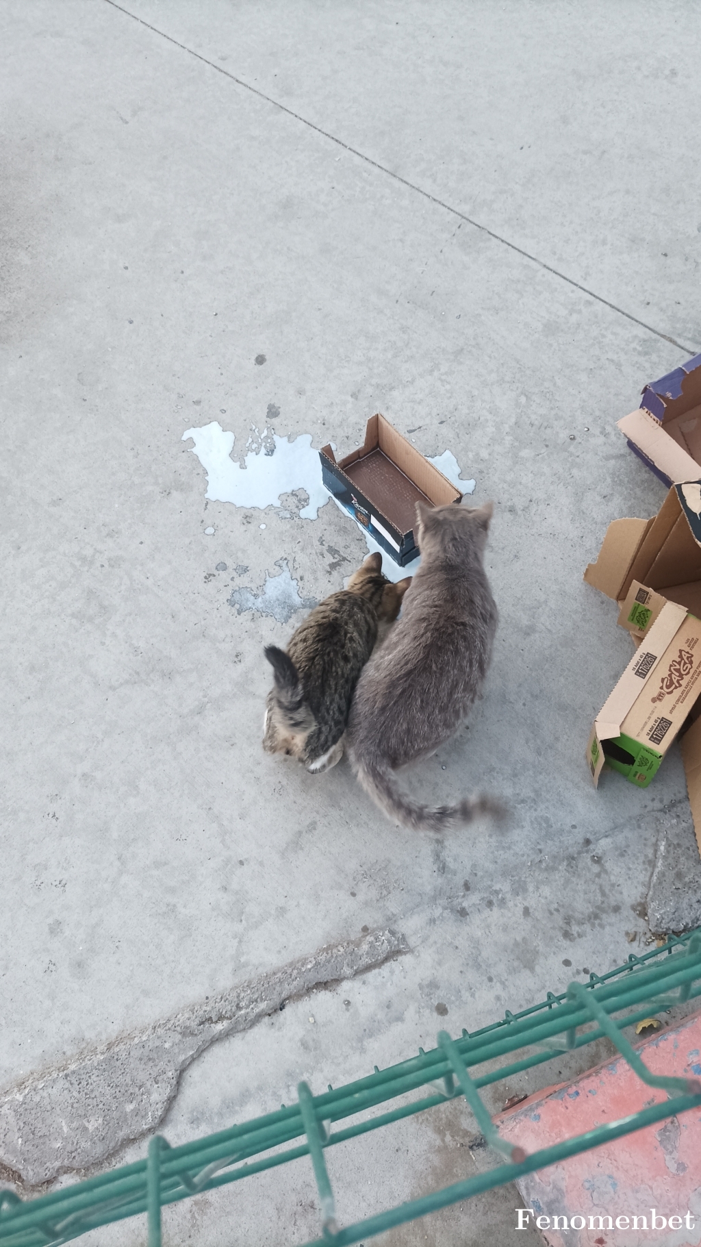 lesquen tarafından paylaşıldı