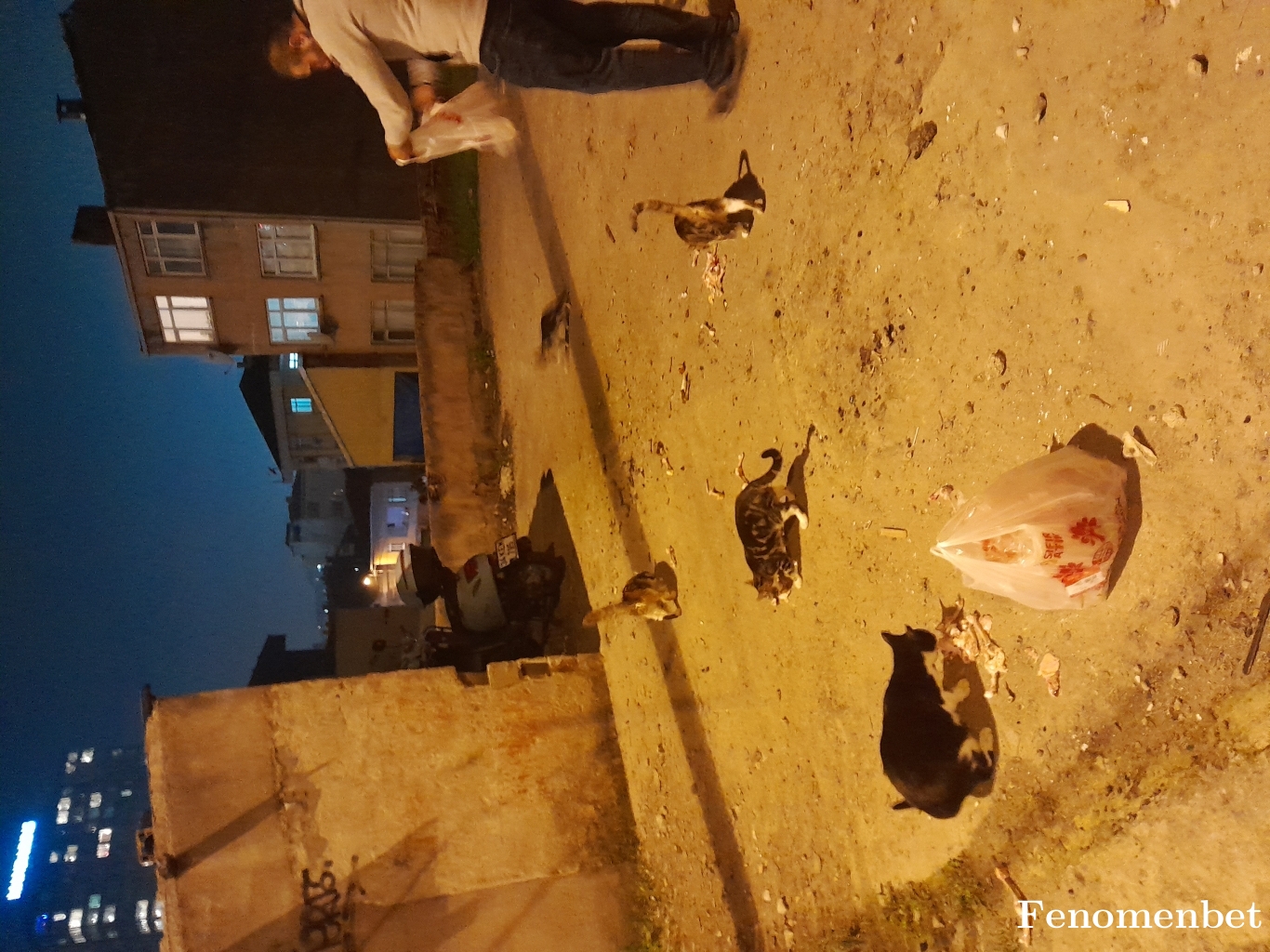 Miko19033 tarafından paylaşıldı