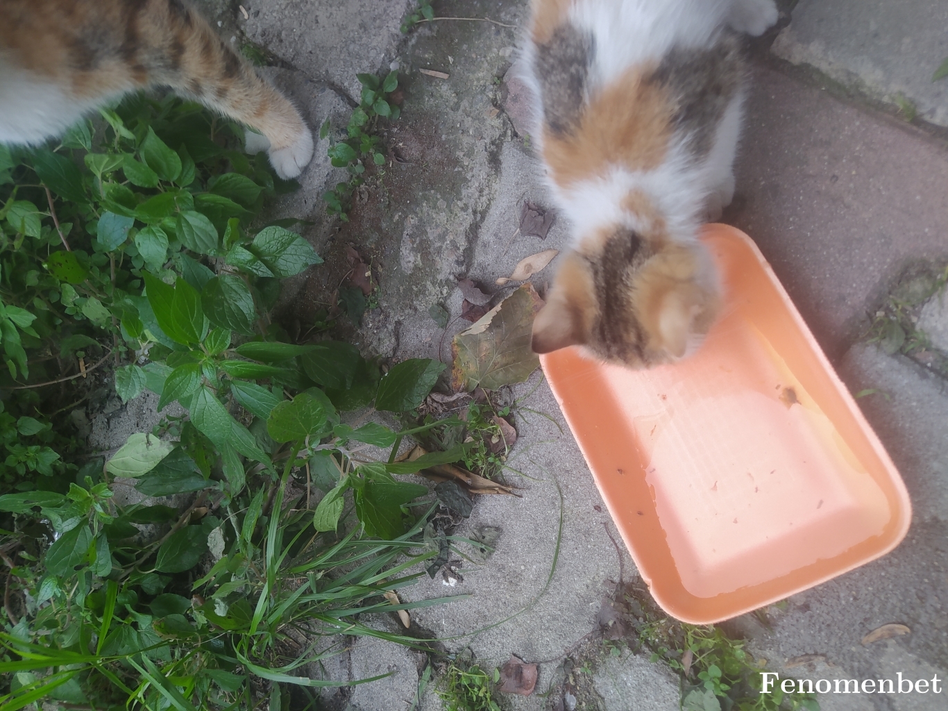 poyrazsinan2409 tarafından paylaşıldı