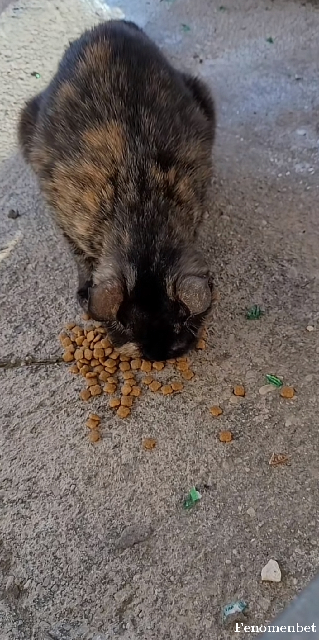 Ayemroj tarafından paylaşıldı