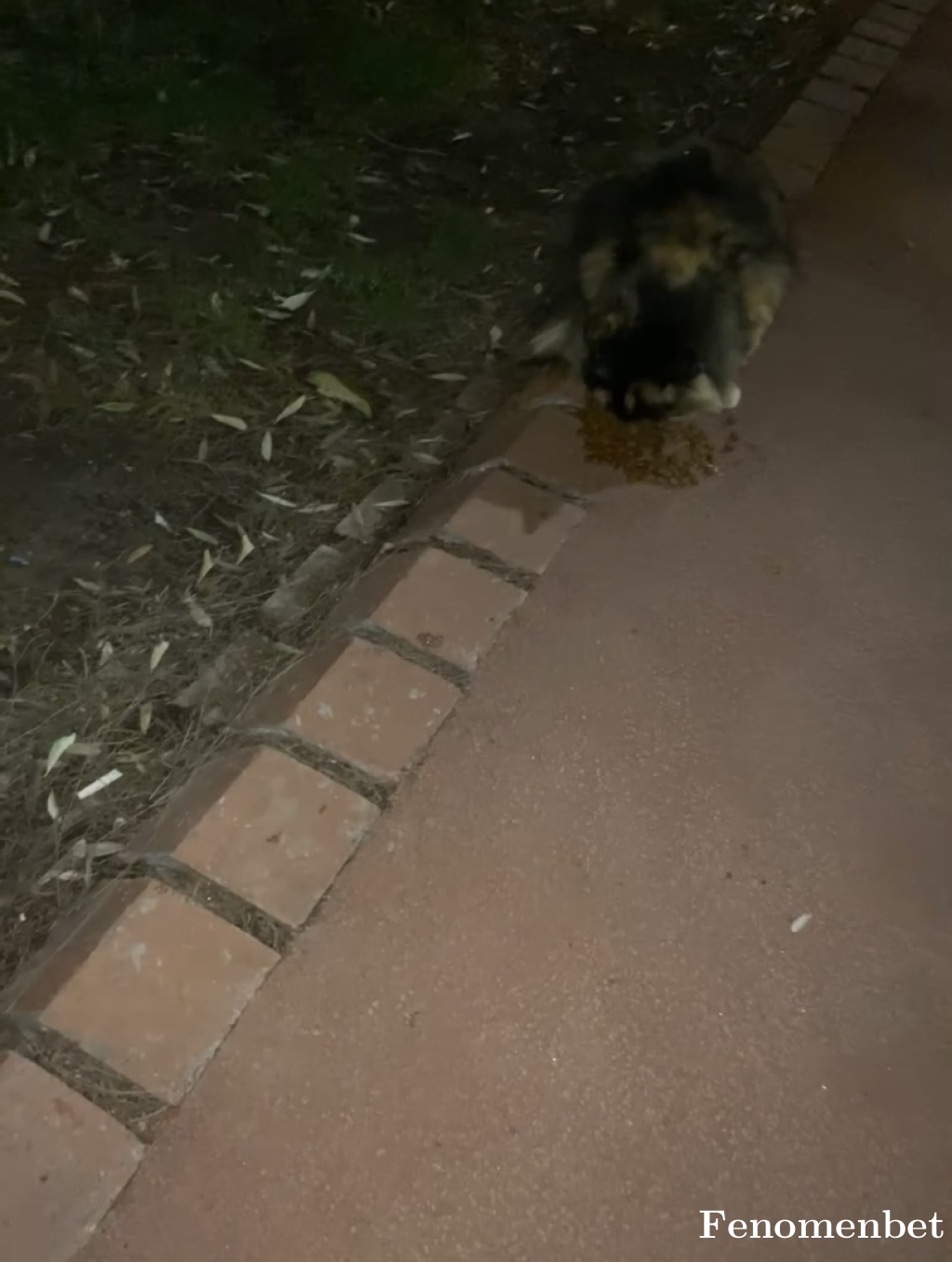 Hum35 tarafından paylaşıldı