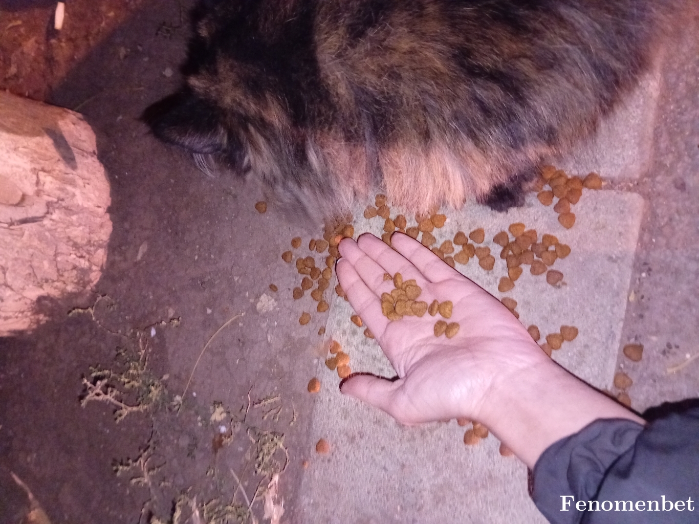 Mormor tarafından paylaşıldı