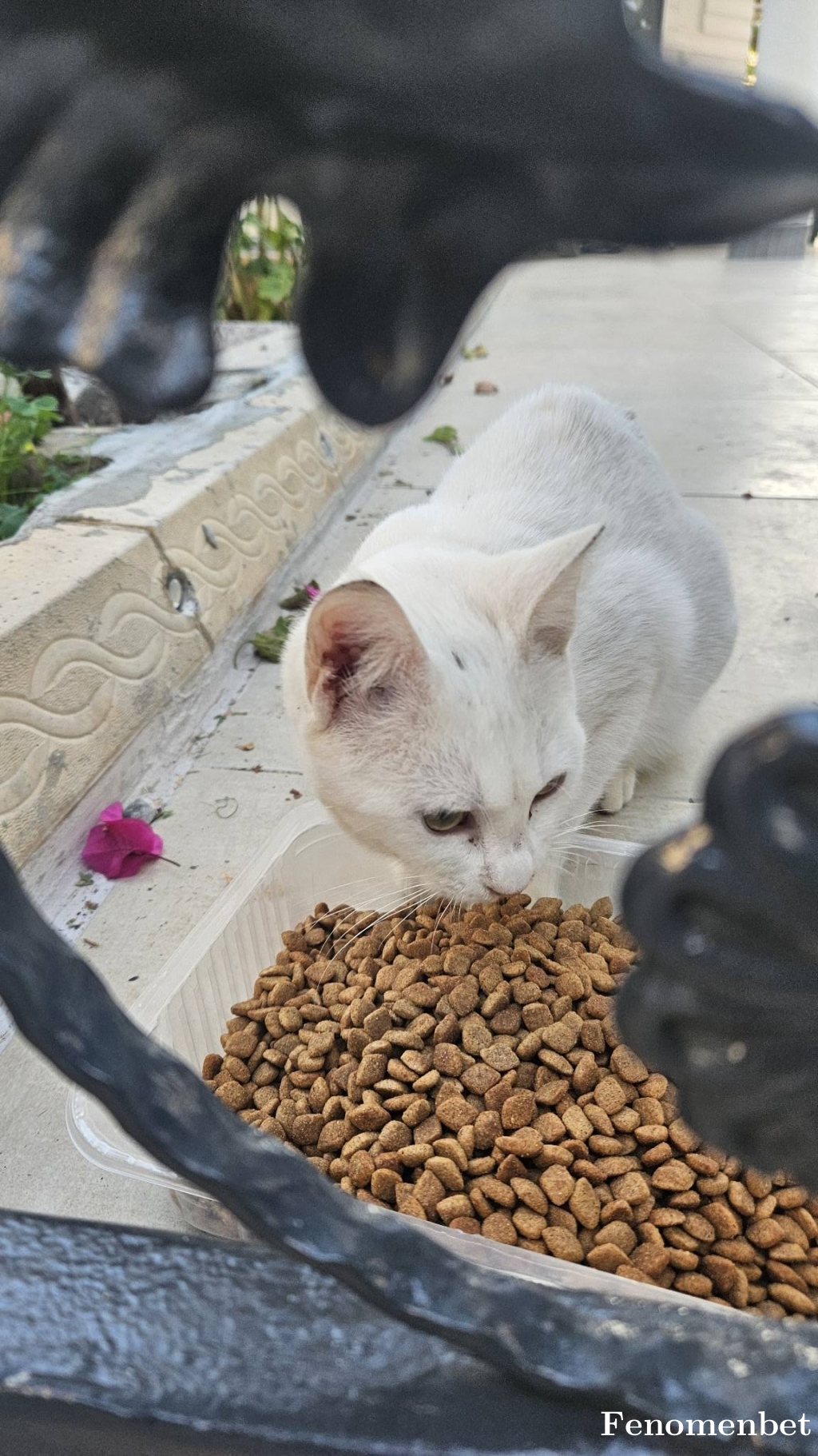 dogankb tarafından paylaşıldı