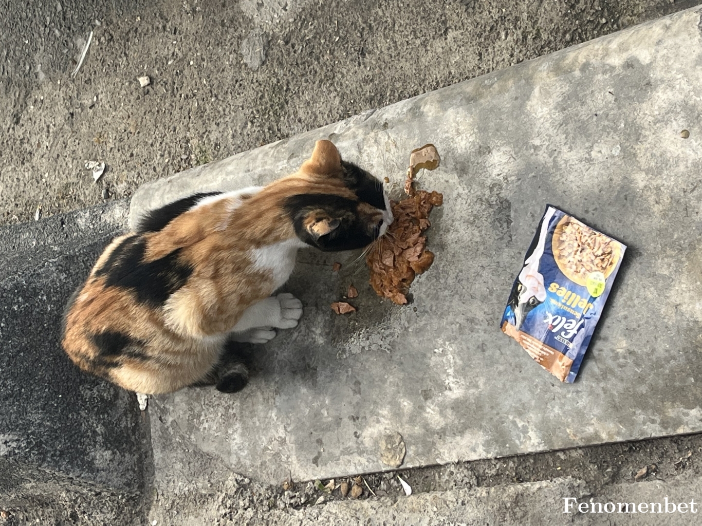 Baron688 tarafından paylaşıldı