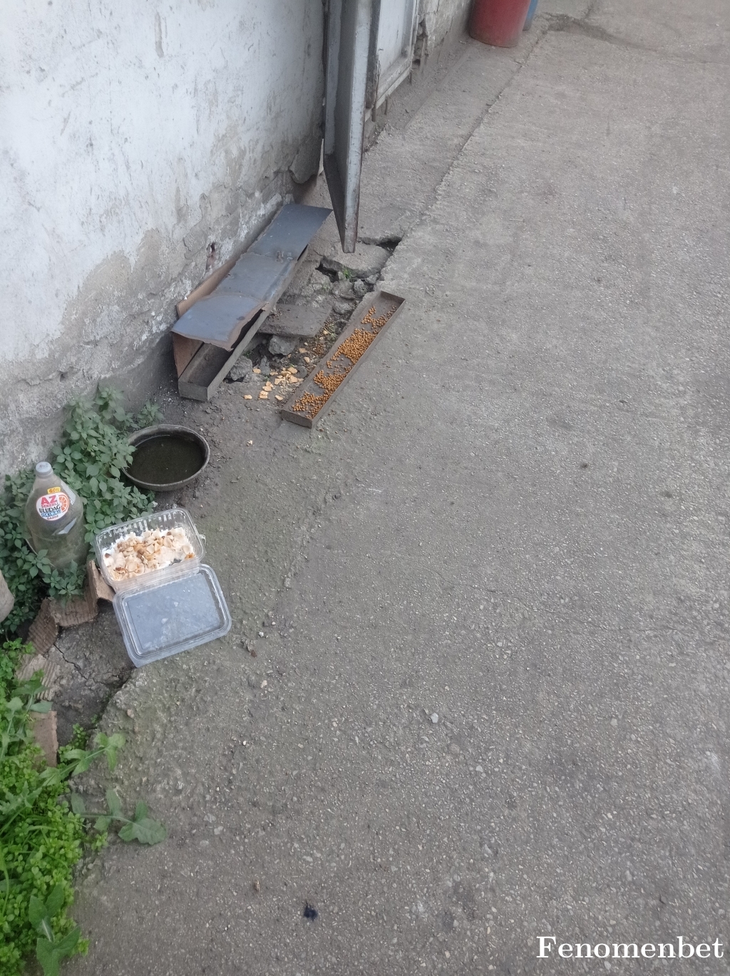 poser33 tarafından paylaşıldı