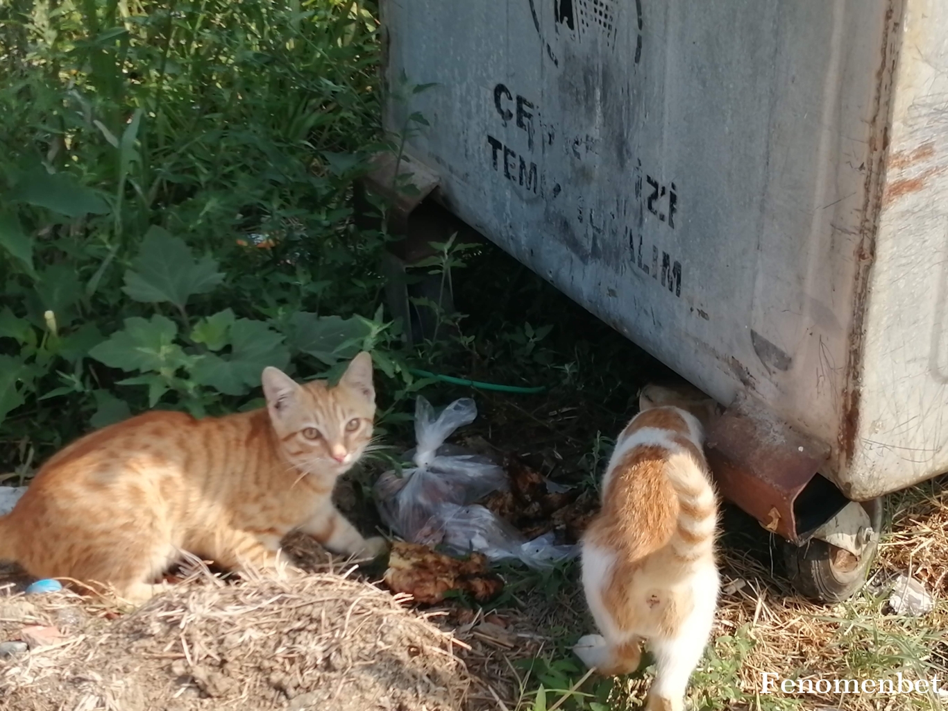 kayel84 tarafından paylaşıldı