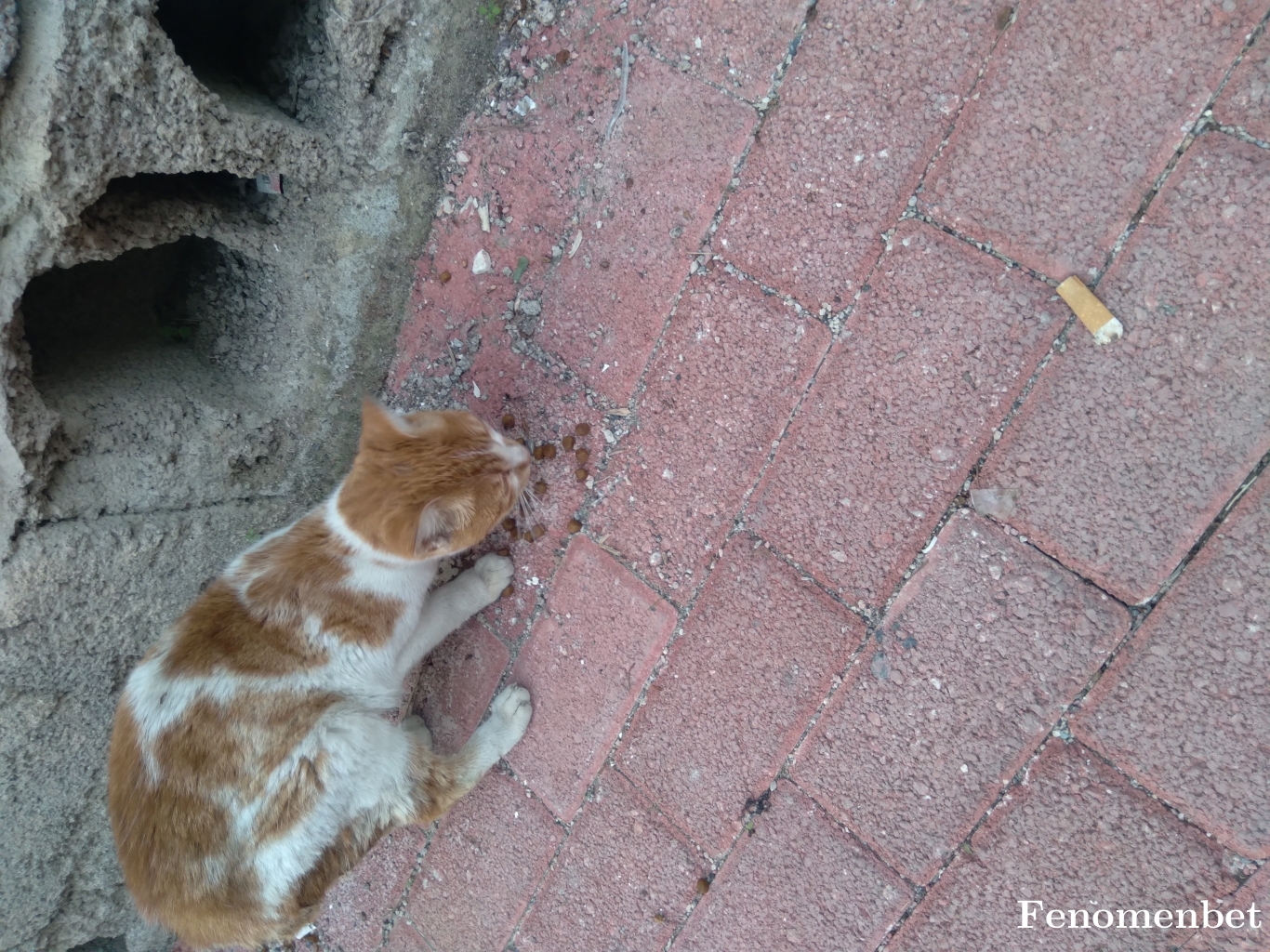 Saksaki0180 tarafından paylaşıldı