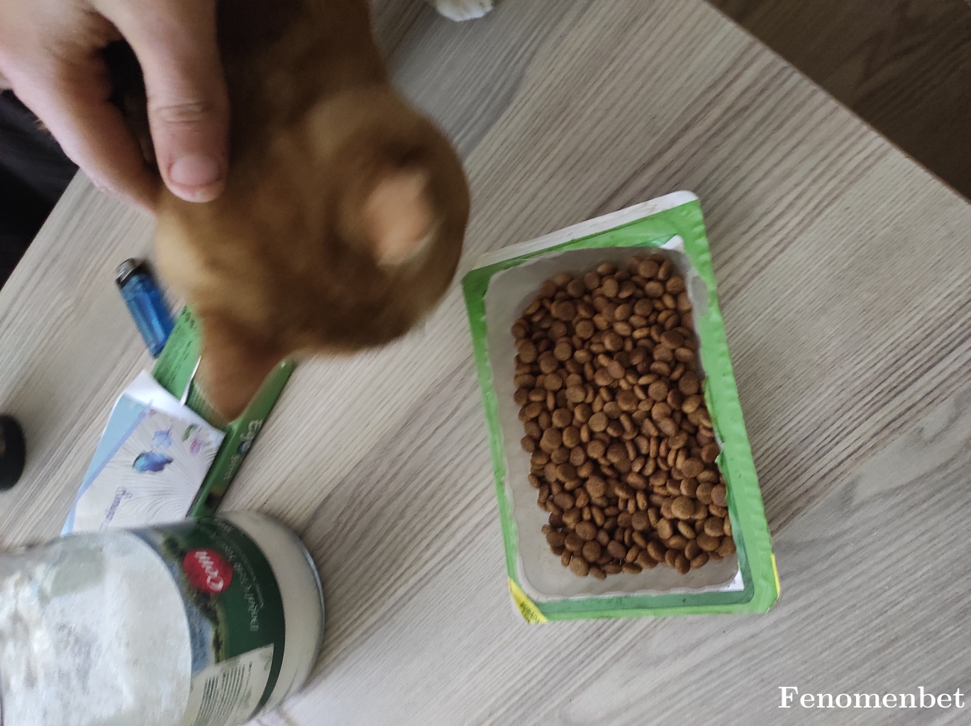 SaitYurdakul16 tarafından paylaşıldı