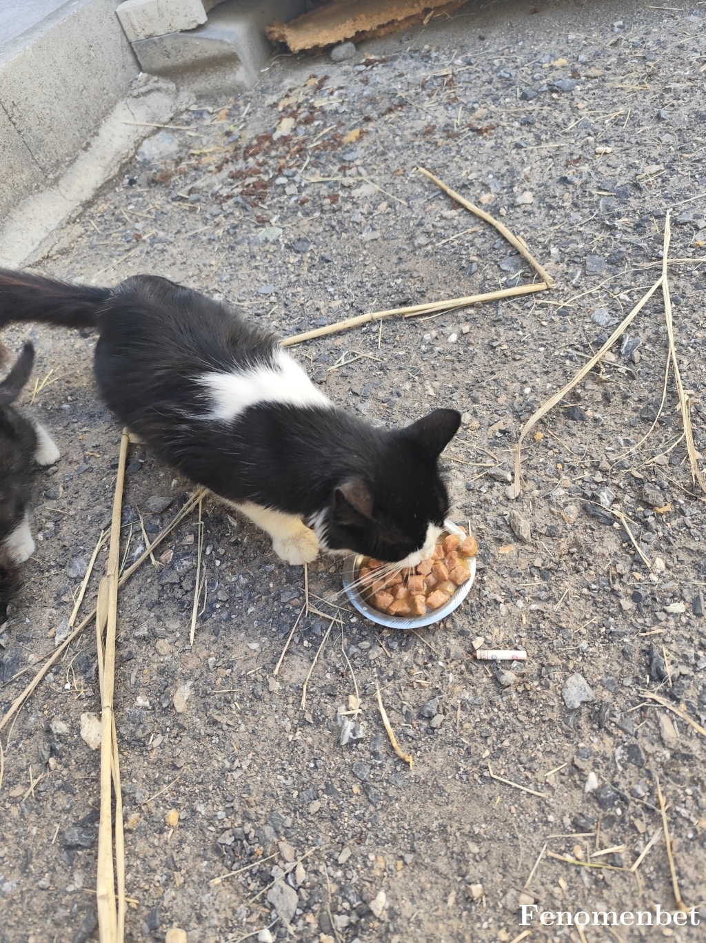 Rapleks11 tarafından paylaşıldı