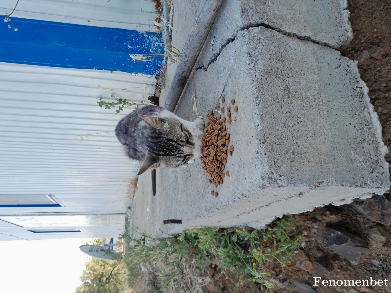 ibrahimttz0 tarafından paylaşıldı