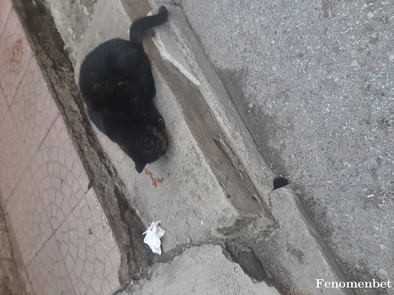 Kas1634 tarafından paylaşıldı