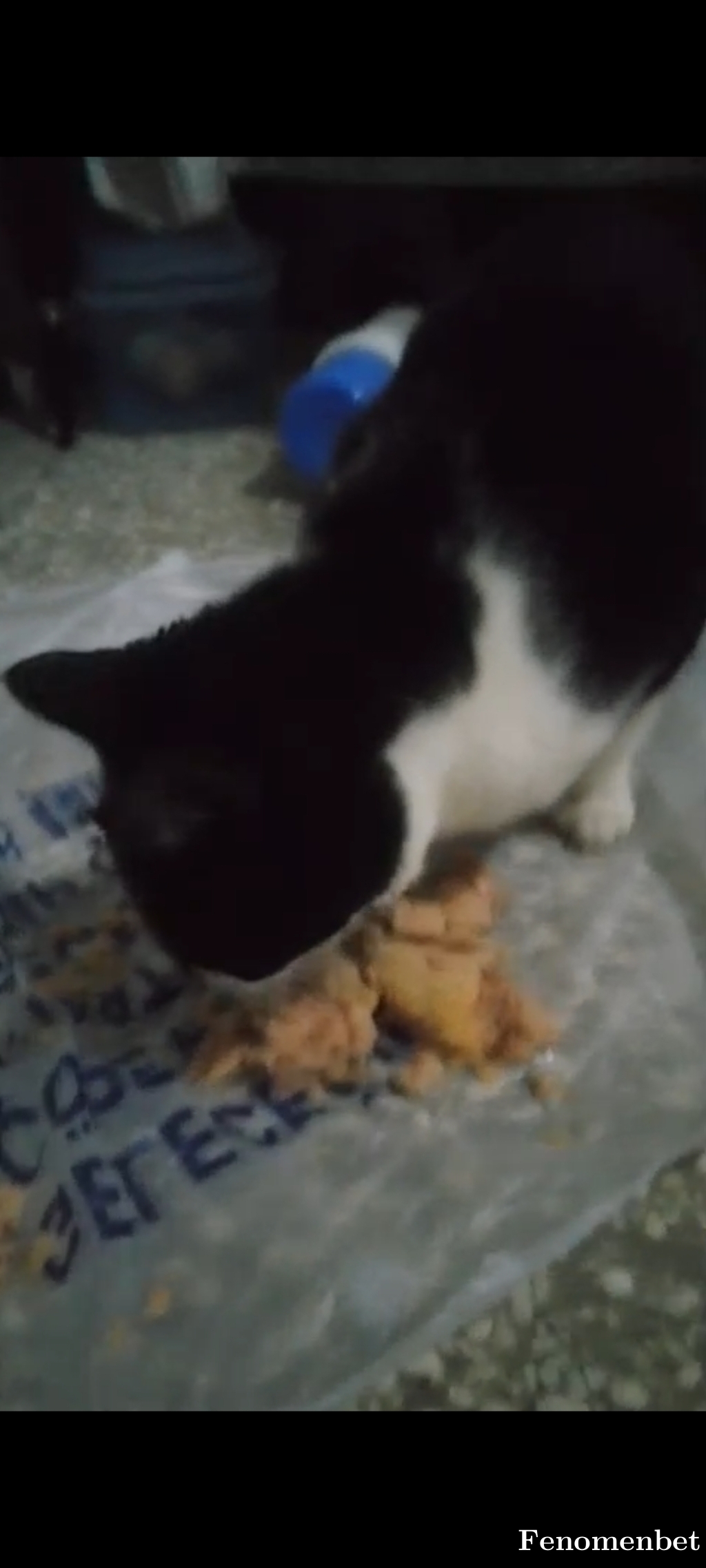 derin33 tarafından paylaşıldı