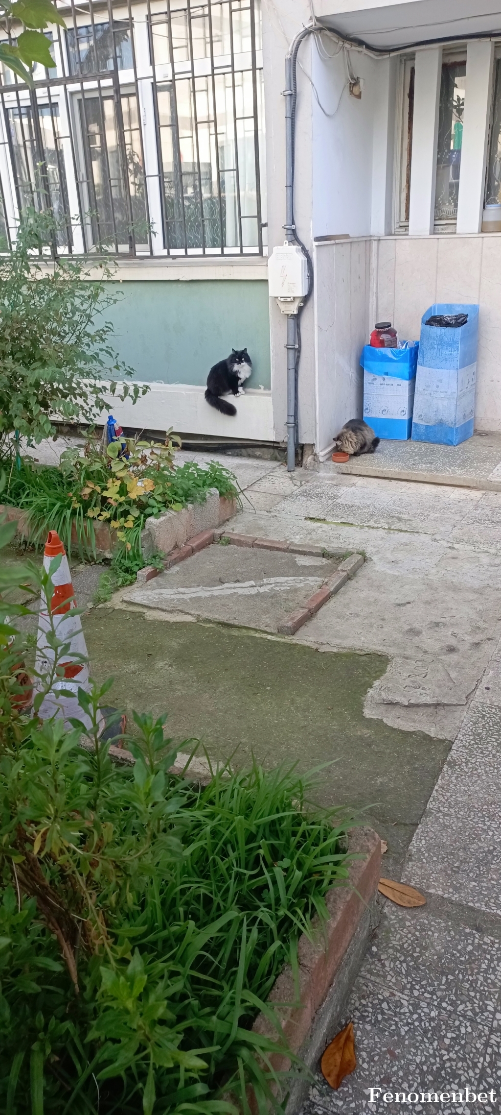 Selocano1 tarafından paylaşıldı