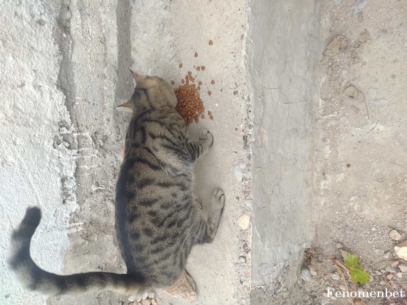 arslan2633 tarafından paylaşıldı