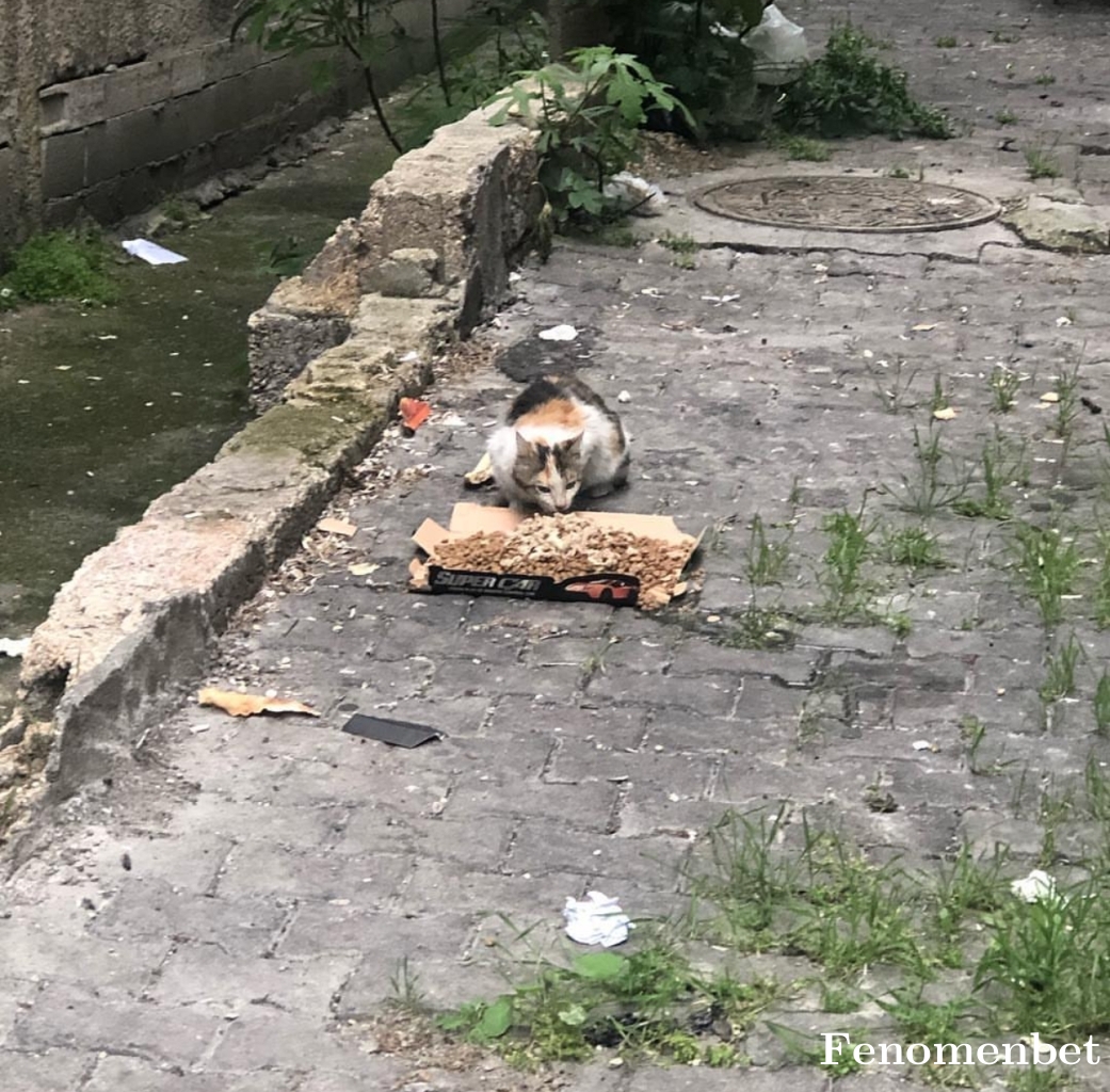 Cosmo99 tarafından paylaşıldı