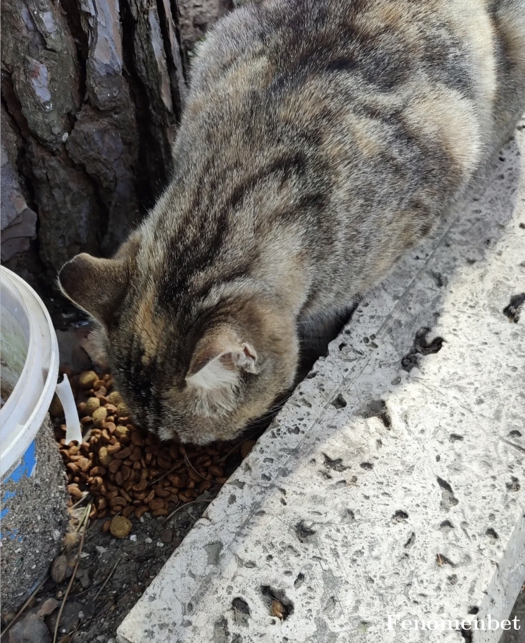 emreyilmaz33 tarafından paylaşıldı