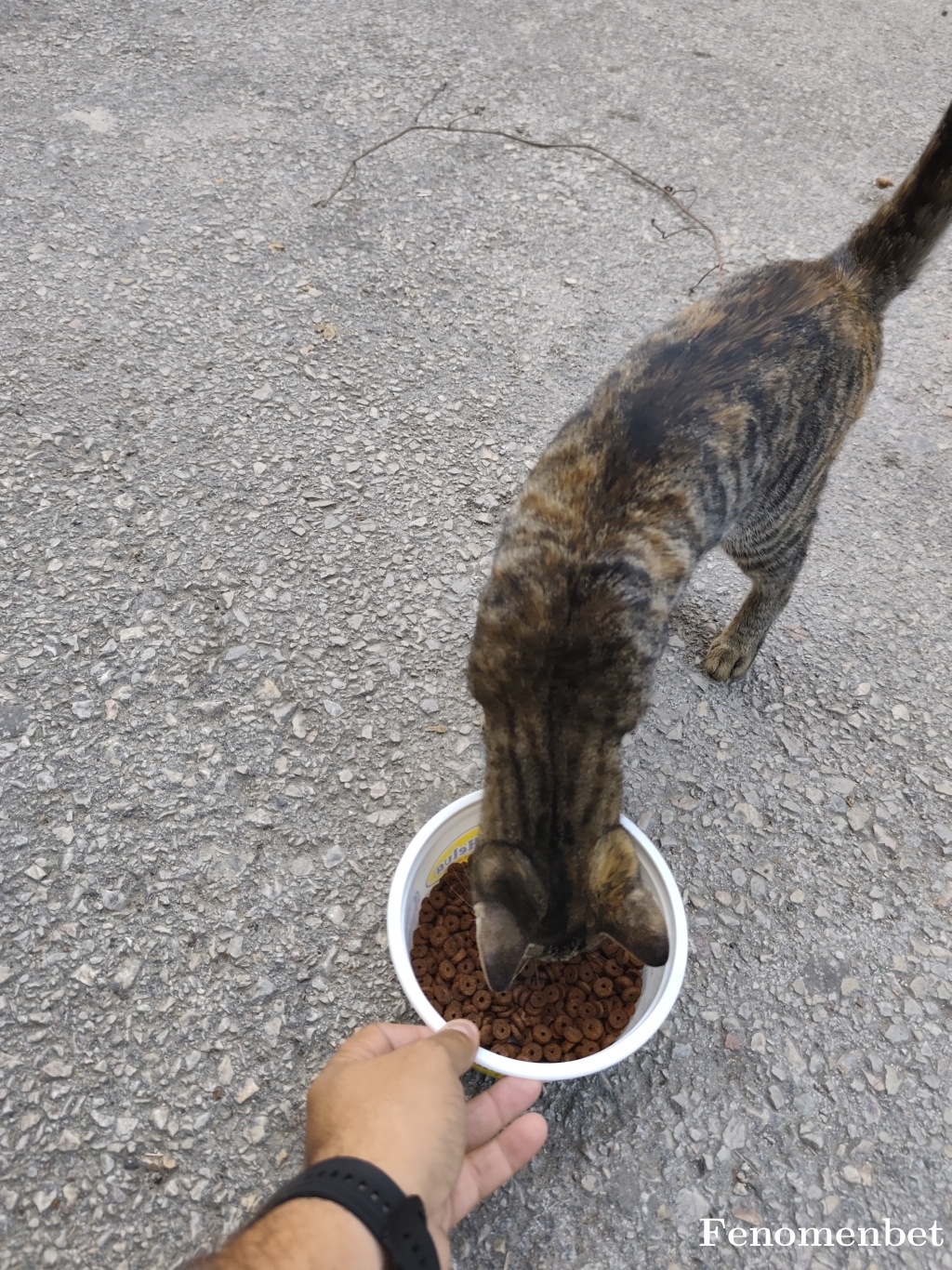 Duru1663 tarafından paylaşıldı