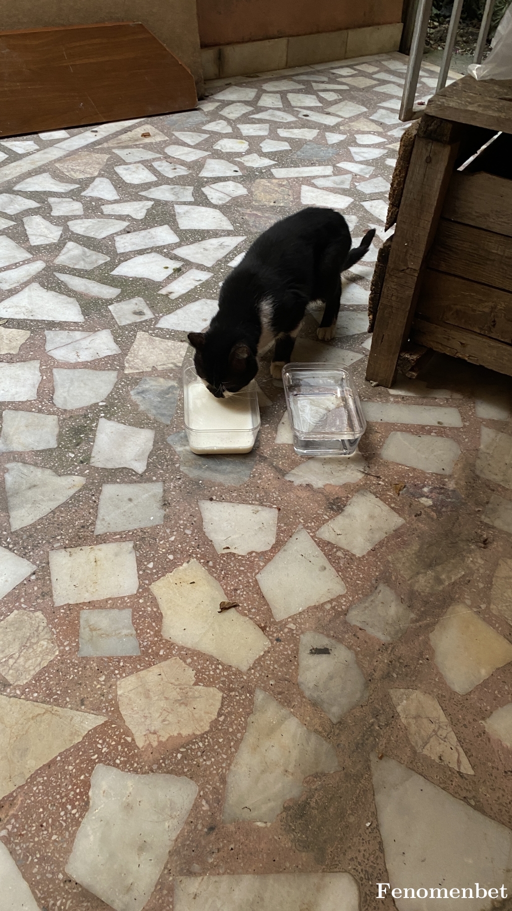 Duygu8107 tarafından paylaşıldı