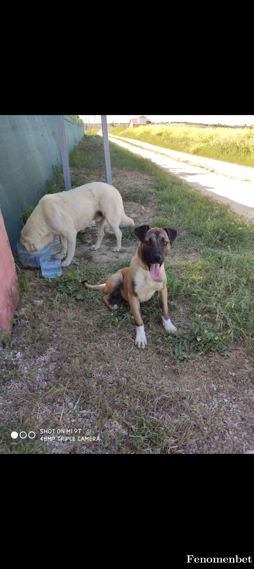 Gybmehmet tarafından paylaşıldı