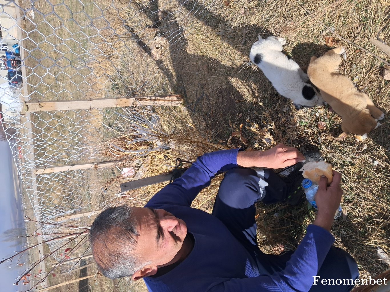 Dorgheda  tarafından paylaşıldı