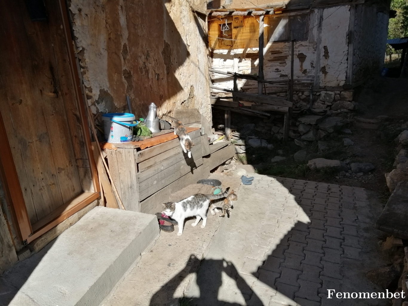 Pokerface2608 tarafından paylaşıldı