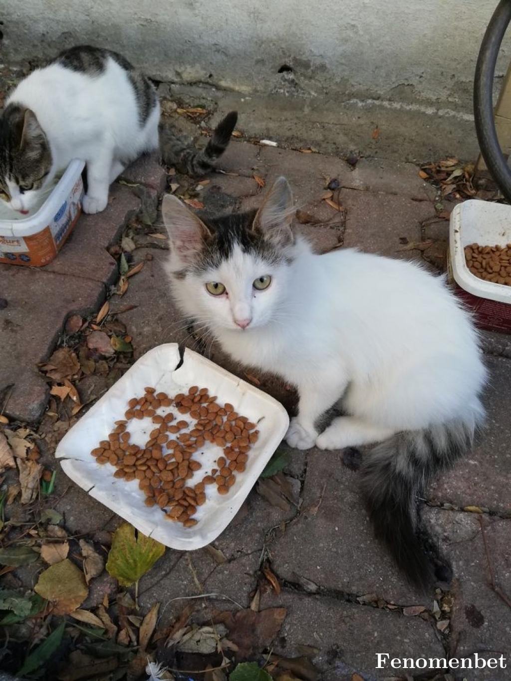 abduszymanski tarafından paylaşıldı