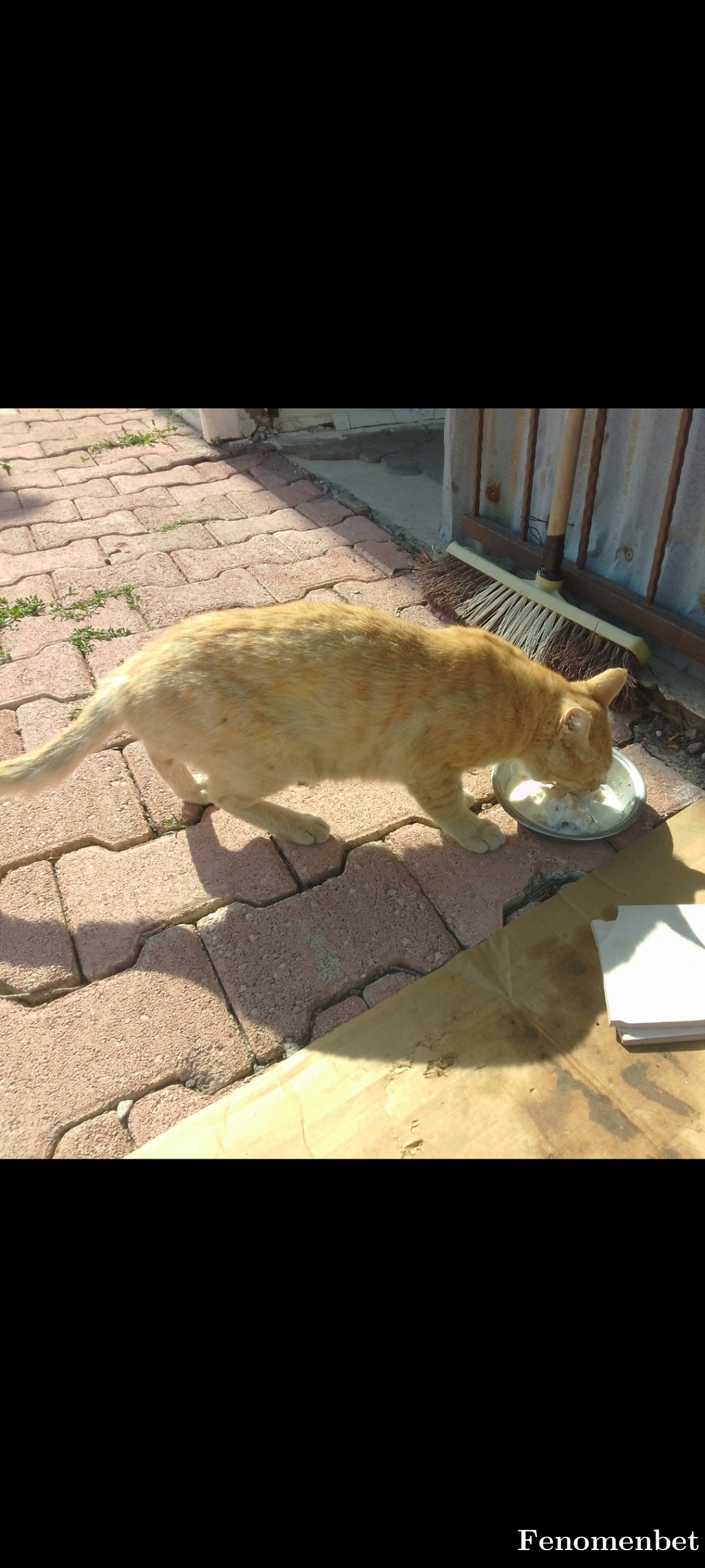 hemry tarafından paylaşıldı