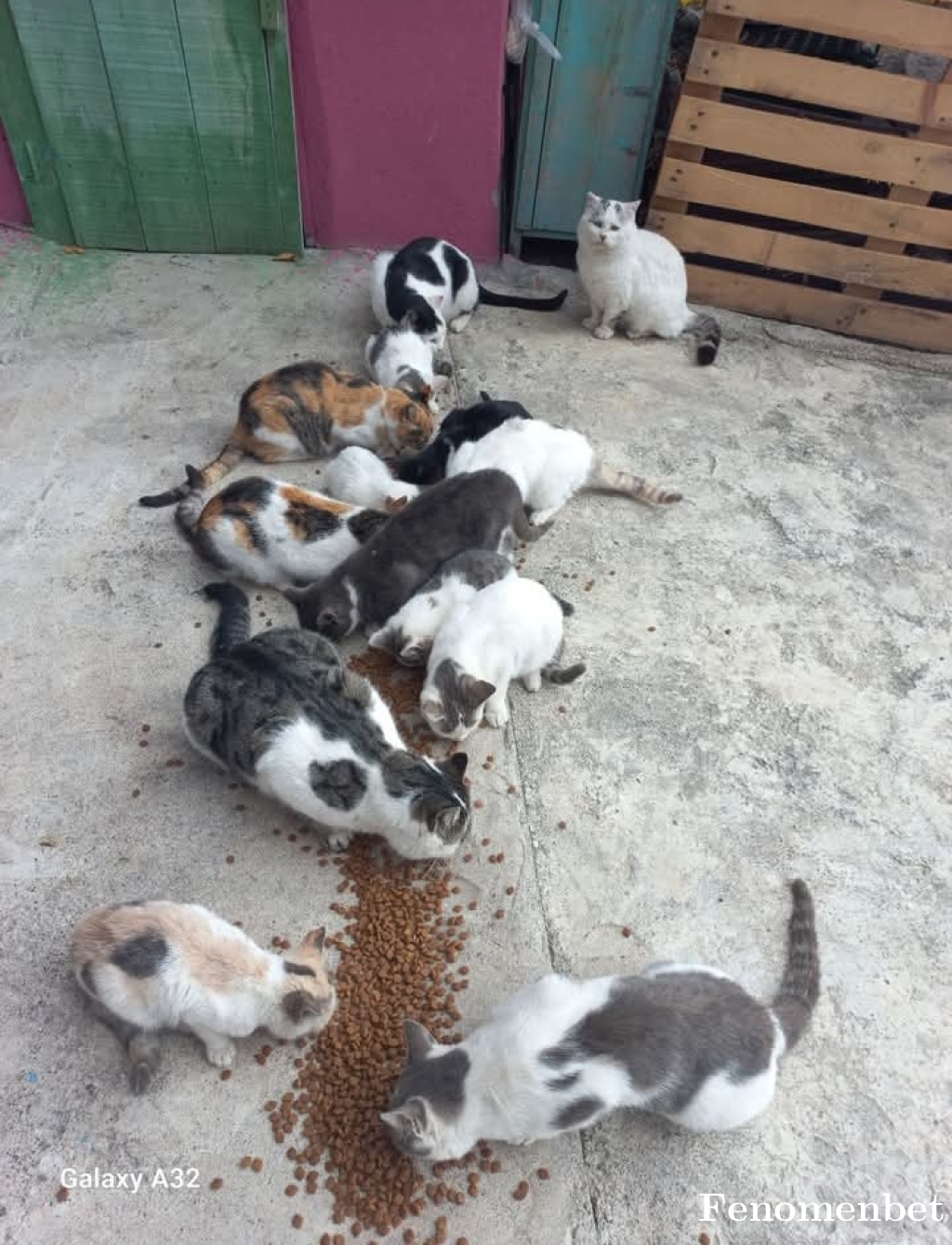 Kuryeee tarafından paylaşıldı