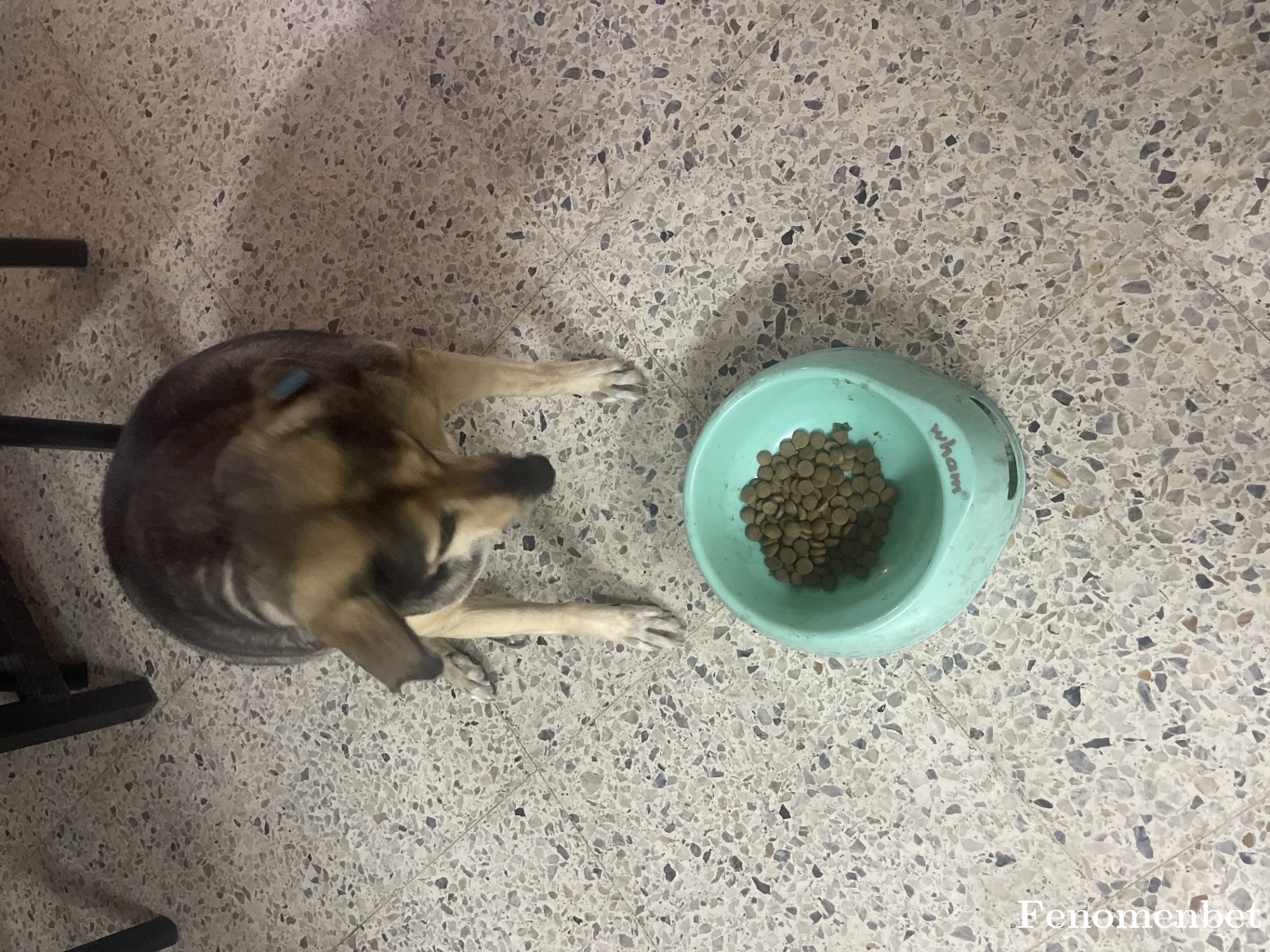 Mhtpck tarafından paylaşıldı