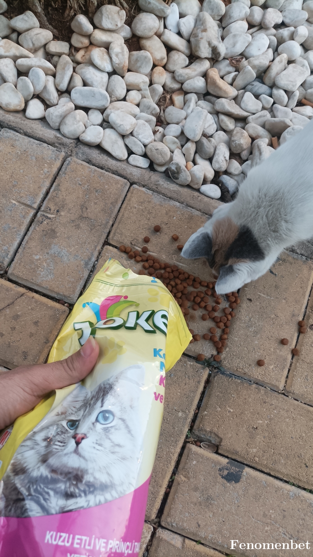 Aptiulas tarafından paylaşıldı