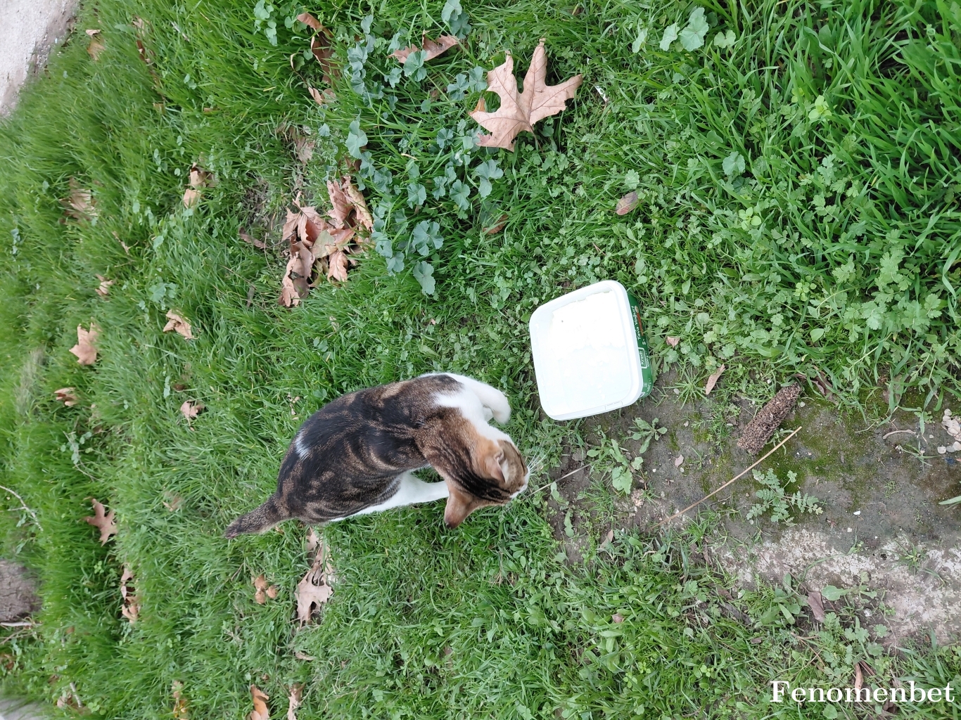 Sedese tarafından paylaşıldı