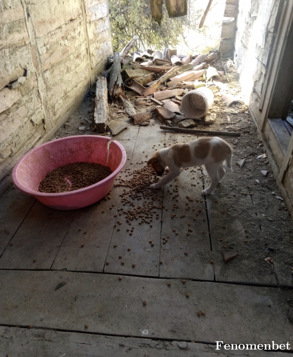 marcorosa tarafından paylaşıldı