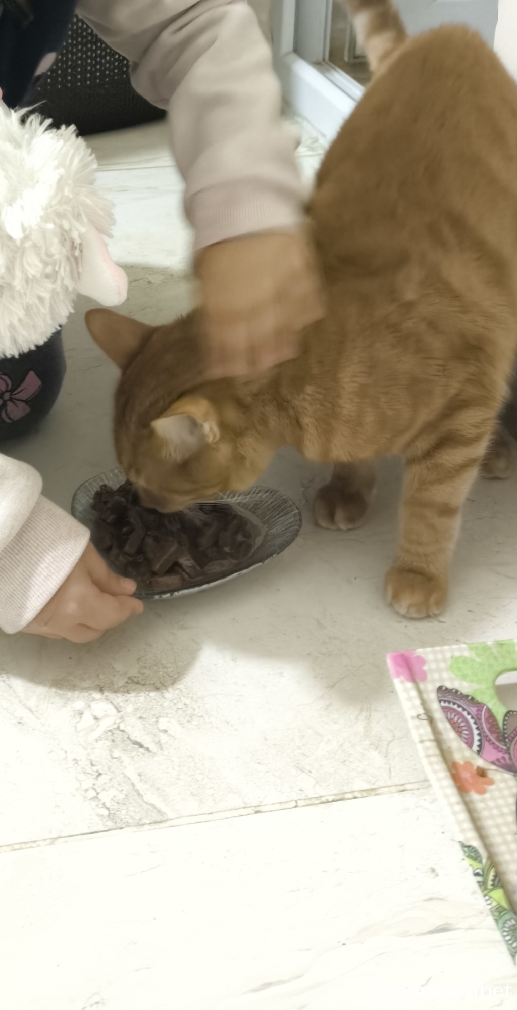 Iremdrii tarafından paylaşıldı