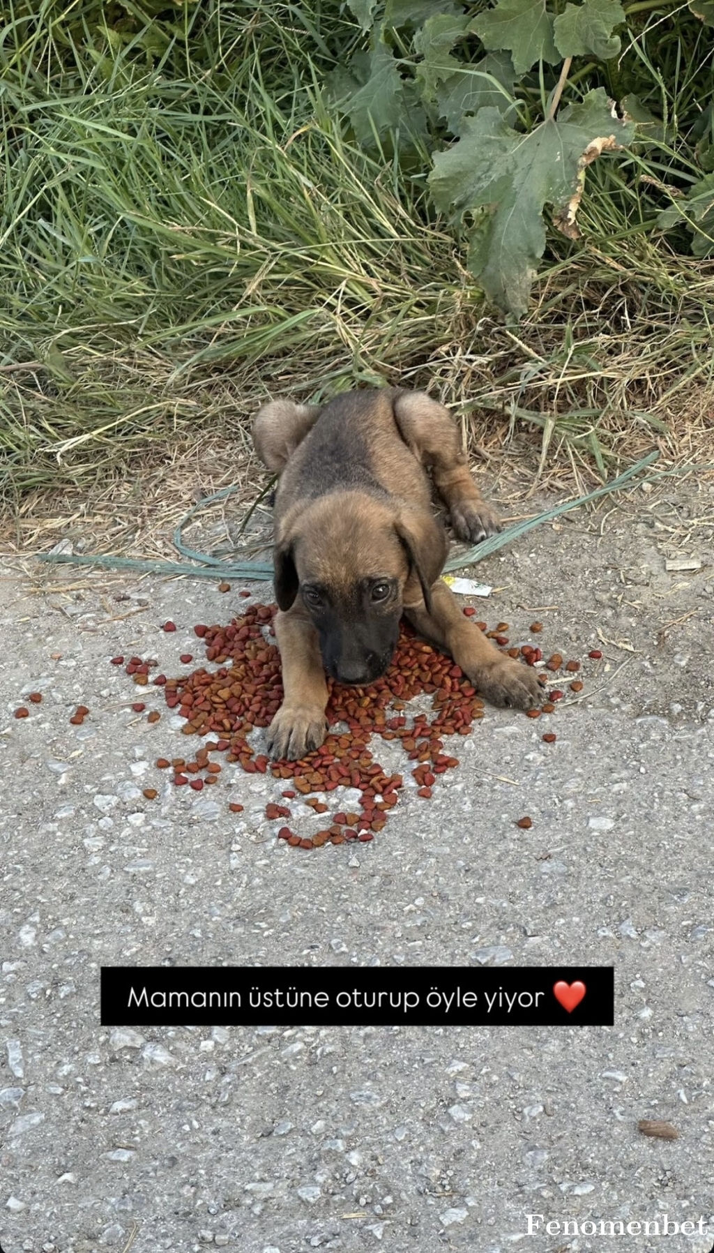 Serhanisler tarafından paylaşıldı