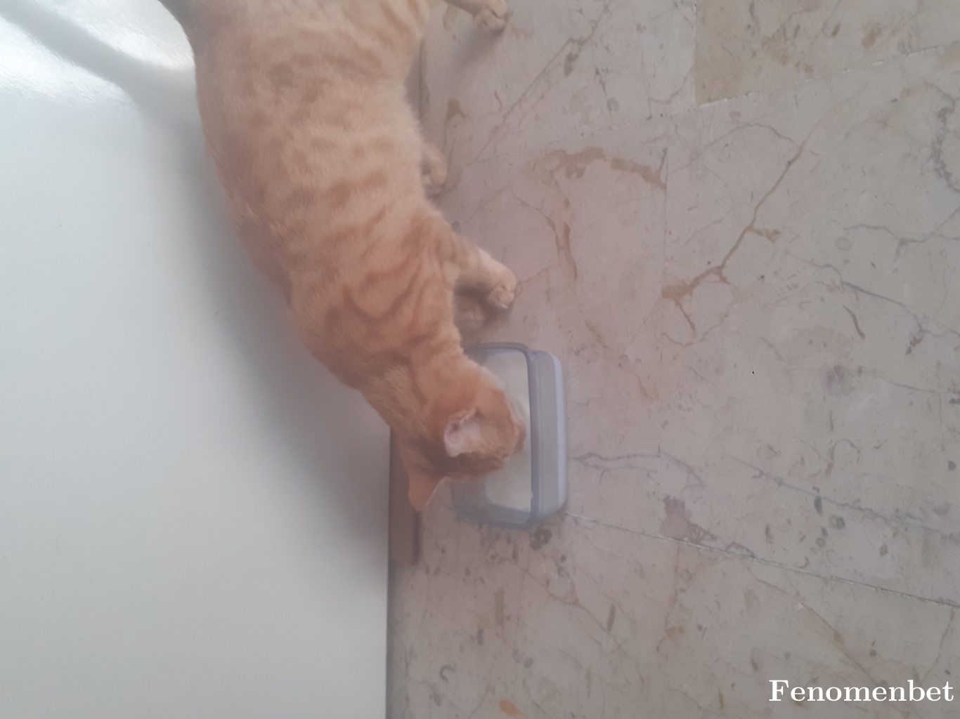 Sedaagok tarafından paylaşıldı