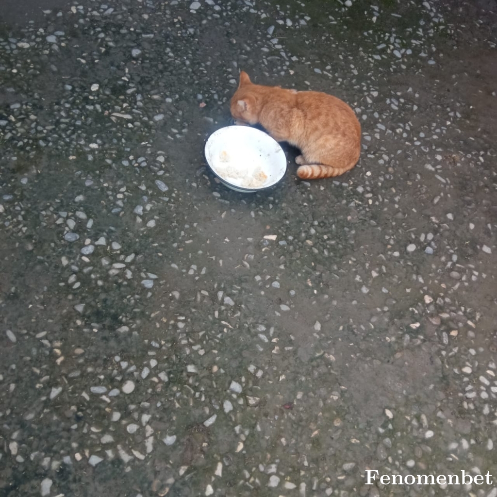 Davcav11 tarafından paylaşıldı