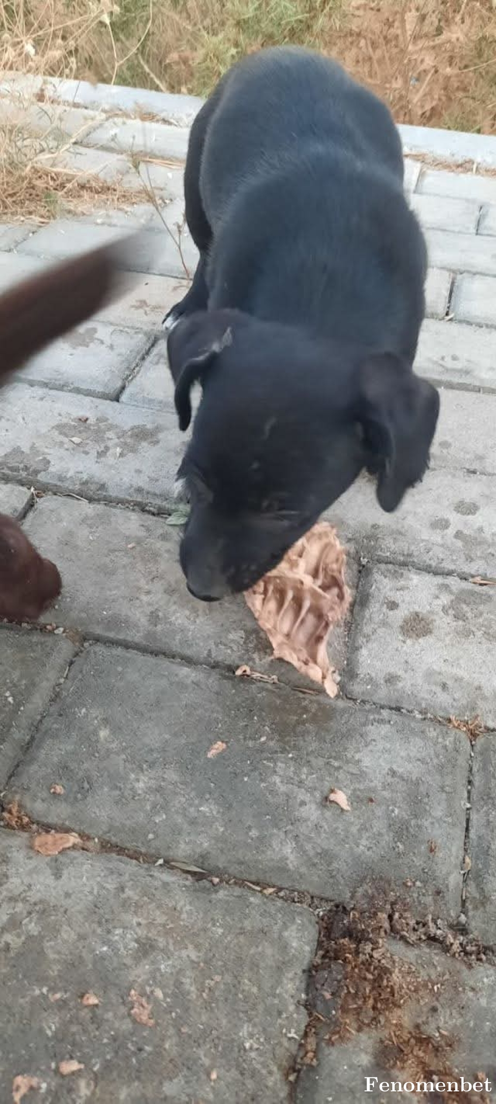 Karabeys  tarafından paylaşıldı