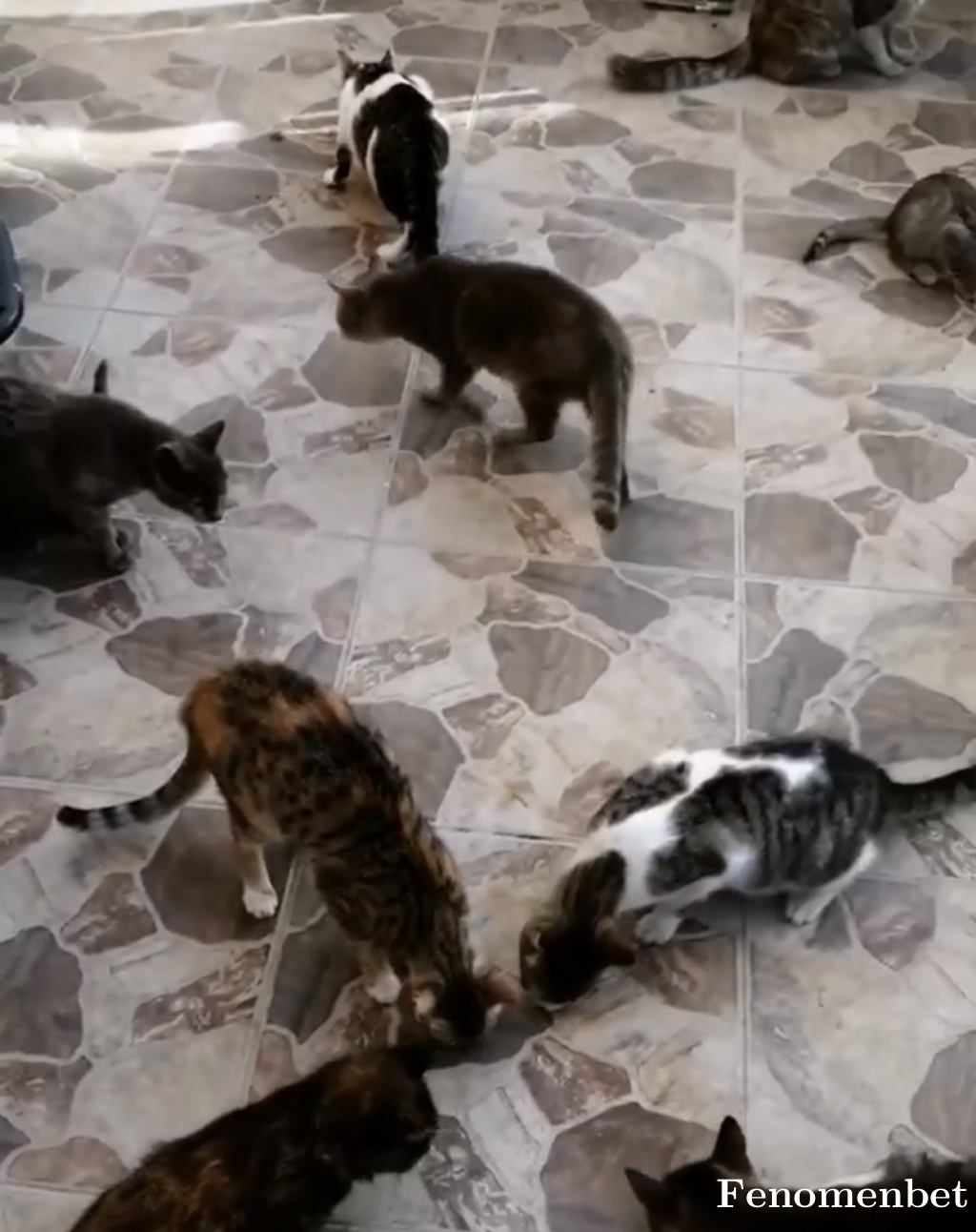 Simiko tarafından paylaşıldı