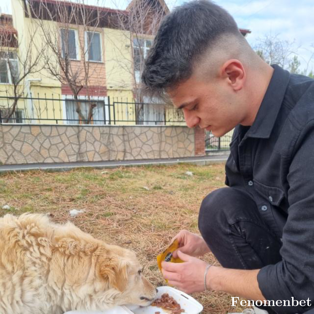 seyfigencer tarafından paylaşıldı