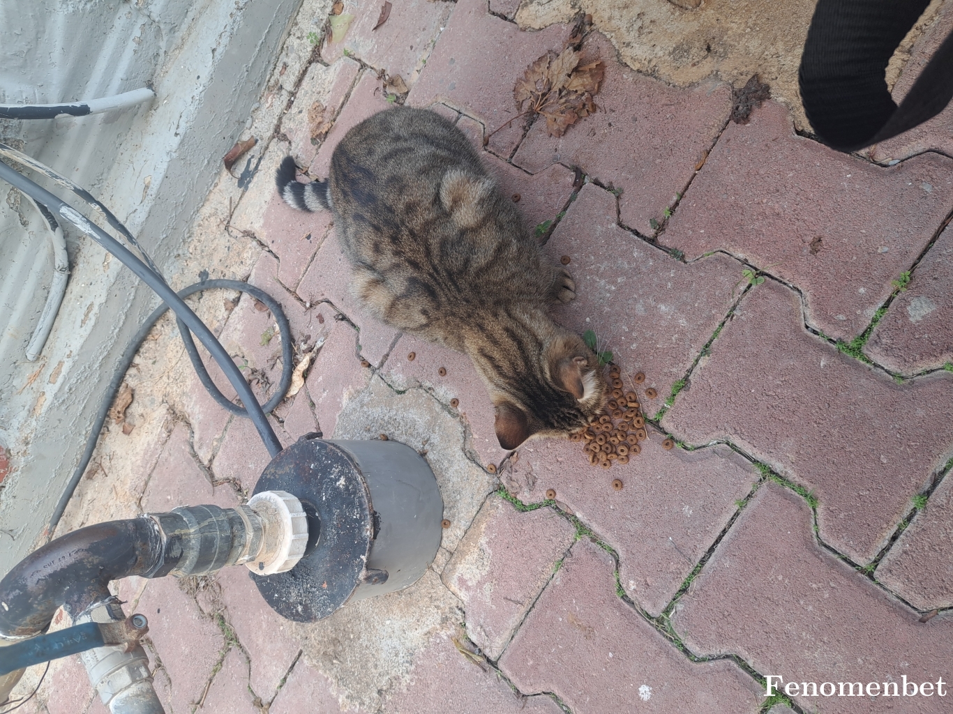 Ozklc tarafından paylaşıldı