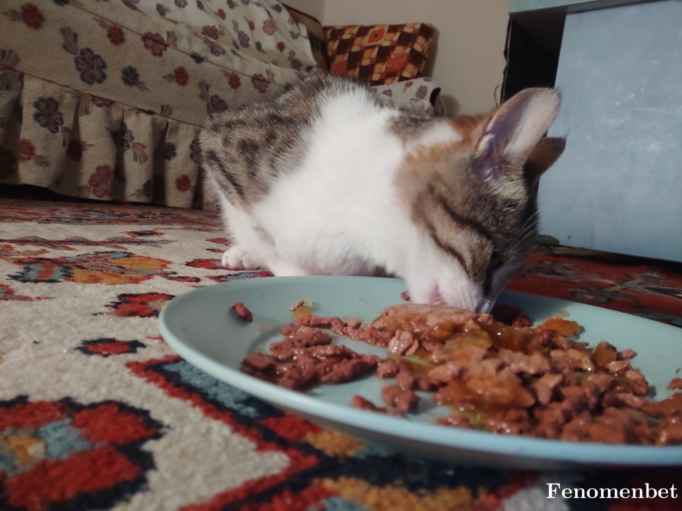 Yellibero01  tarafından paylaşıldı