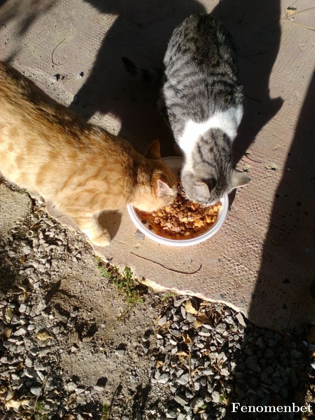 Ugurersr tarafından paylaşıldı