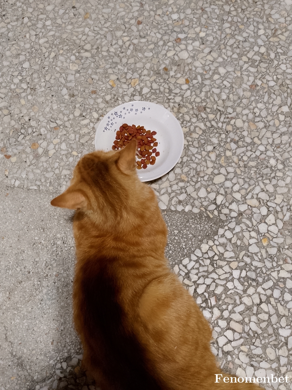 Uqurerrr tarafından paylaşıldı