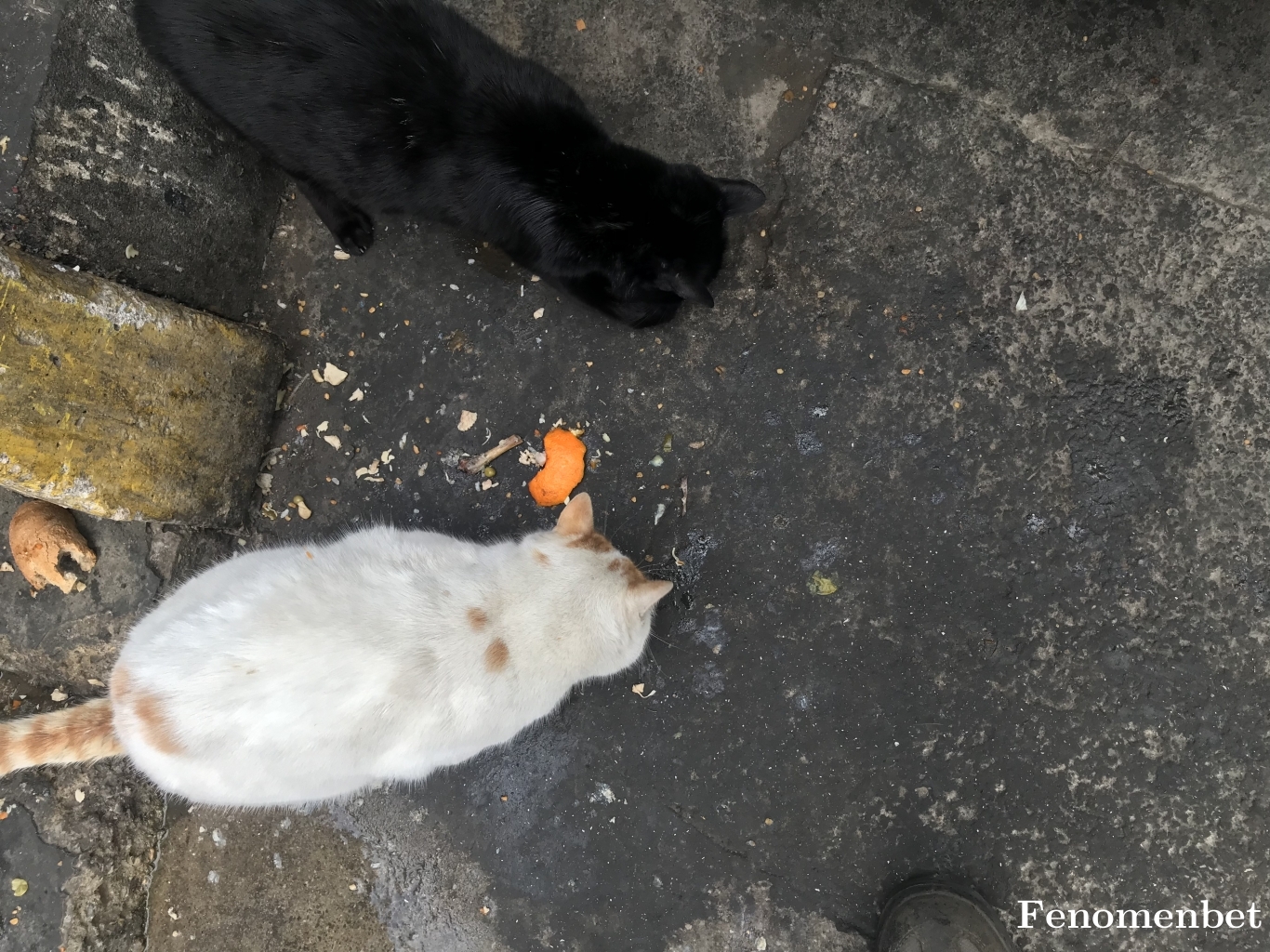 Senol4747 tarafından paylaşıldı