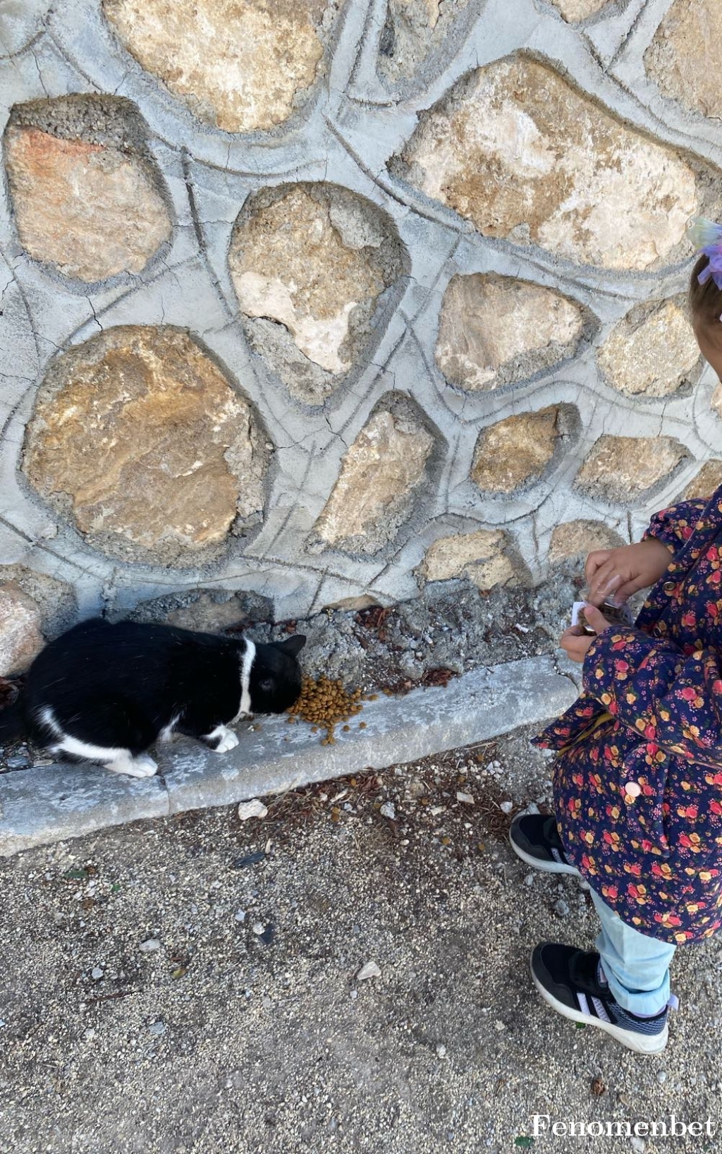 crfty26 tarafından paylaşıldı